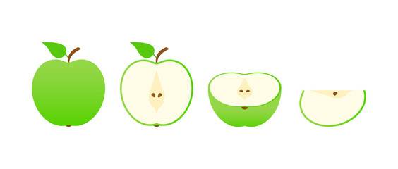 Set of fruits. Summer fruit collection. Fruits apple. Vegetarian and ecology food. Vector illustration.