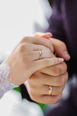 bride and groom hands with wedding rings