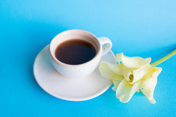 White cup of coffee on a blue background, flower. Morning breakfast