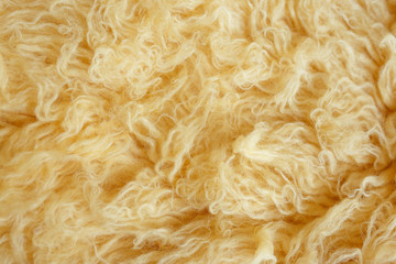 Yellow fur texture, close-up.Useful as background
