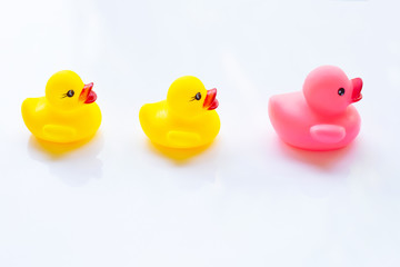 Pink and yellow duck toys on a white
