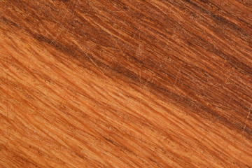 Naklejka premium wood closeup