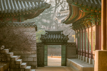 Morning light in Changdeokgung temple in Seoul, Korea