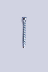 Single screw isolated on white background. Stainless steel wood screws on white background.