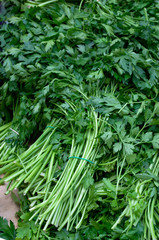 Fresh parsley selling at the market