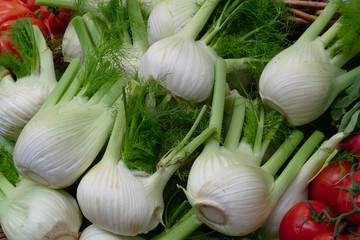 Fresh organic fennel bulbs in the market. Foeniculum vulgare harvest. Close Up