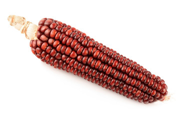 Dry corn