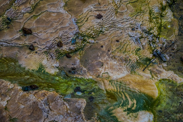 Detail of a water stream in Wai-O-Tapu, New Zealand North Island