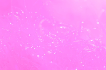 Pink bokeh abstract lights backgrounds
