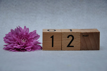 12 May on wooden blocks with a pink daisy on a white background