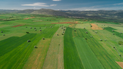 fields, farmland and trees;aerial landscape