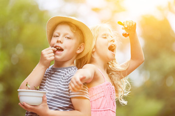 Zwei Kinder essen frische Kirschen im Sommer