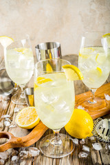 Trendy summer cold drink. St Germain French Spritz cocktail with lemon slices, old rustic wooden...