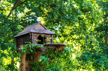 Feeders for birds in the city park on the tree.