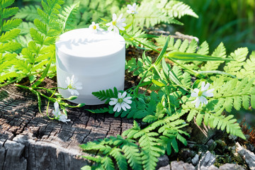 Natural cosmetic cream for skin care. Cream cosmetic in nature with green fern leaves and wildflowers.
