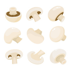 Cartoon vector icon illustration of mushroom champignon isolated on white - 271232335