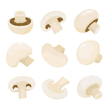 Cartoon vector icon illustration of mushroom champignon isolated on white