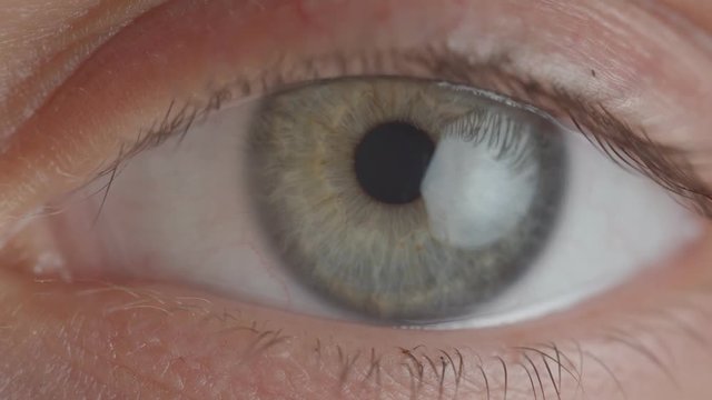 Close-up shoot of green eye with shrinking pupil.