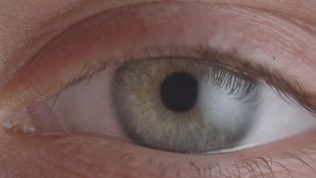 Close-up shoot of green eye blinking and shrinking the pupil.