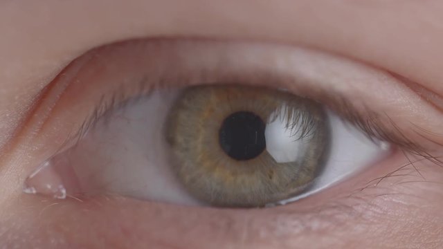 Close-up shoot of greenish eye blinking fastly and shrinking the pupil.