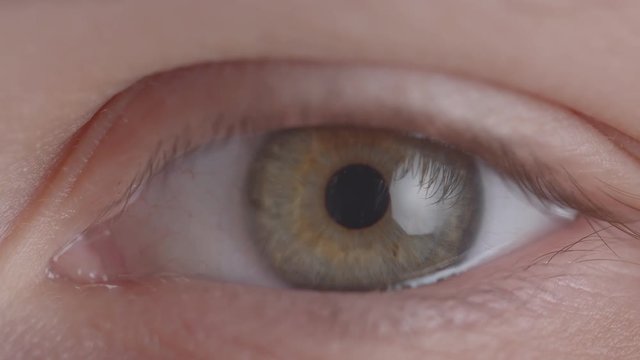 Close-up shoot of greenish eye shrinking fastly the pupil in the state of fear or anxiety.