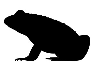 Vector illustration black silhouette of a frog