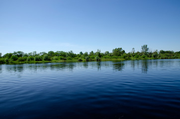 River and green forest growing along the shore on a bright Sunny day