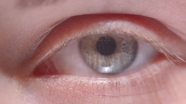 Close-up shoot of caucasian person with greenish eyes blinking fastly watching attentively into camera.