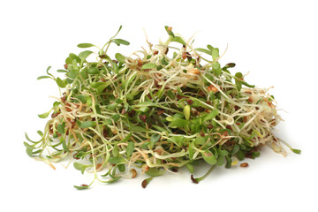 Heap of alfalfa sprouts