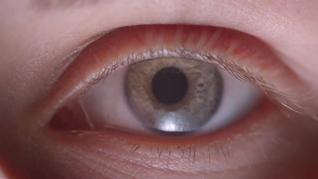 Close-up shoot of caucasian person with greenish eye blinks fastly watching into camera being calm and concentrated.