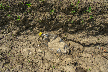 Old plastic bottle on the cracked dry ground