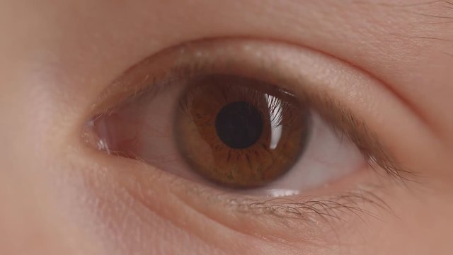 Close-up shoot of greenish eye pupil shrinking and widening with change of illumination.