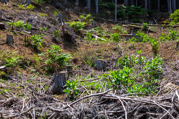 パレット　フォークリフト　物流　倉庫　積む