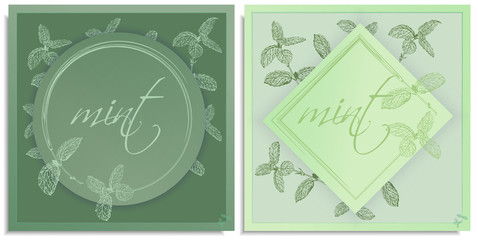 Vector set of postcards templates, invitation with hand-drawn graphics sprigs of beautiful peppermint, Gently color shades of green, little gradient. Lettering: mint, you can change it or use as it is