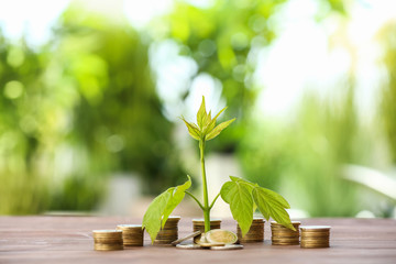 Fototapeta na wymiar Coins with growing plant on table. Money savings concept