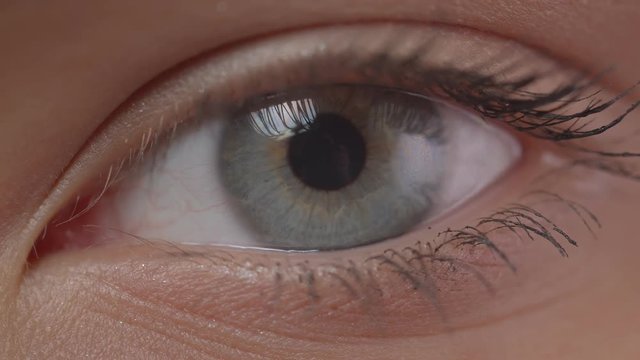 Close-up shoot of blue eye blinking with the reflection of photographer with camera in it.