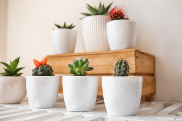 Green succulents in pots on white shelf