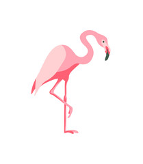 Fototapeta premium Pink flamingo. Flat vector illustration