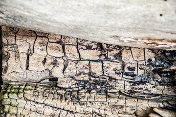 dry old cracked wood texture