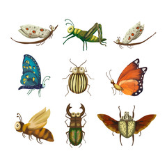 Vector Icon set with cute 3d insect.