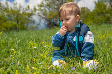 The baby boy sits in the nature and plays with the grass