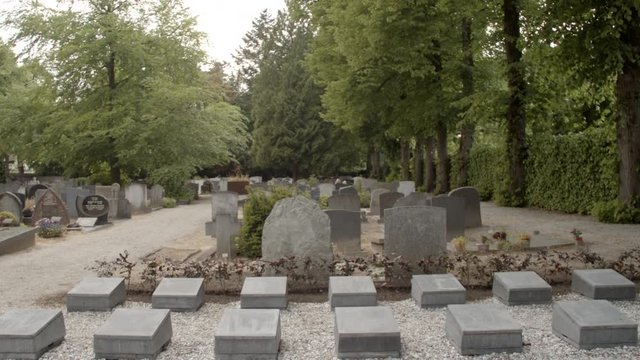 Cemetery overview with old graves