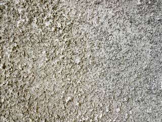 grunge cement grey texture of wall
