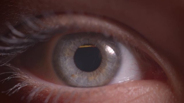 Close-up shoot of gray eye with reflection of yellow lamp on it watching into camera in darkness.