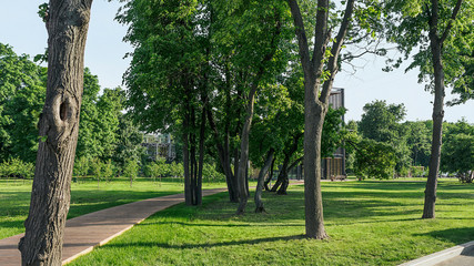 City park landscape, background for landing page