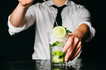 Professional bartender making Mojito cocktail