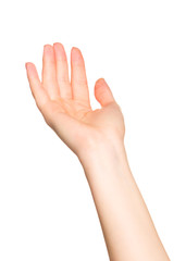 Obraz premium Female hand gesture isolated on white background