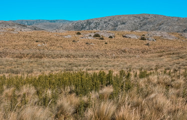 Quebrada del Condorito  National Park,Cordoba province, Argentina
