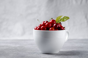 Fresh ripe cherries with leaves in white cup on concret stone background.