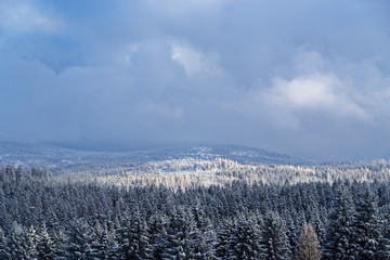 Beautiful winter landscape against cloudy sky